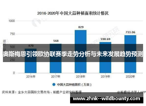 奥斯梅恩引领欧协联赛季走势分析与未来发展趋势预测