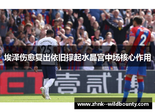 埃泽伤愈复出依旧撑起水晶宫中场核心作用 埃泽伤愈复出依旧撑起水晶宫中场核心作用
