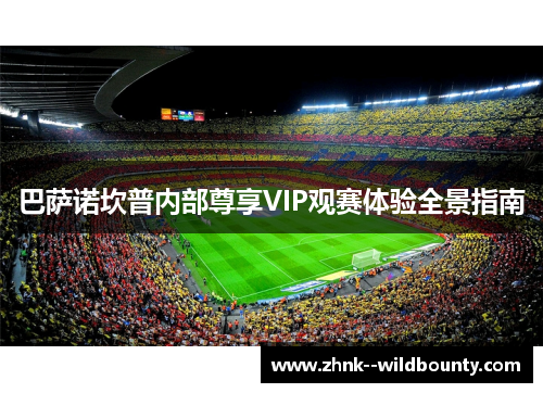 巴萨诺坎普内部尊享VIP观赛体验全景指南 巴萨诺坎普内部尊享VIP观赛体验全景指南