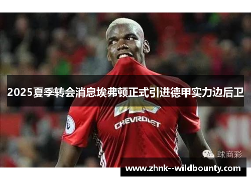2025夏季转会消息埃弗顿正式引进德甲实力边后卫 2025夏季转会消息埃弗顿正式引进德甲实力边后卫
